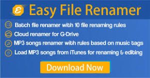 Easy file Renamer Crack